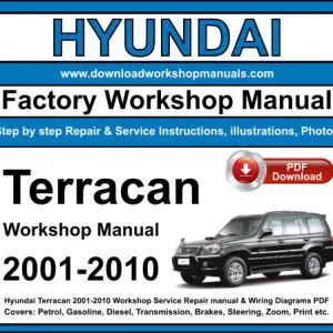 Hyundai Terracan 2001-2010 service repair manual PDF download