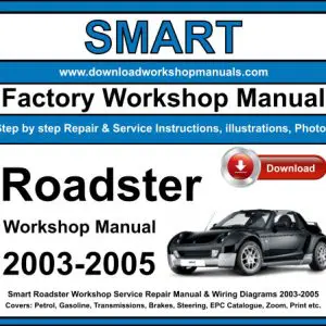 Smart Roadster 2003-2005 service repair manual PDF download
