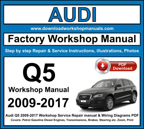 Audi Q5 Workshop Repair Manual Download PDF